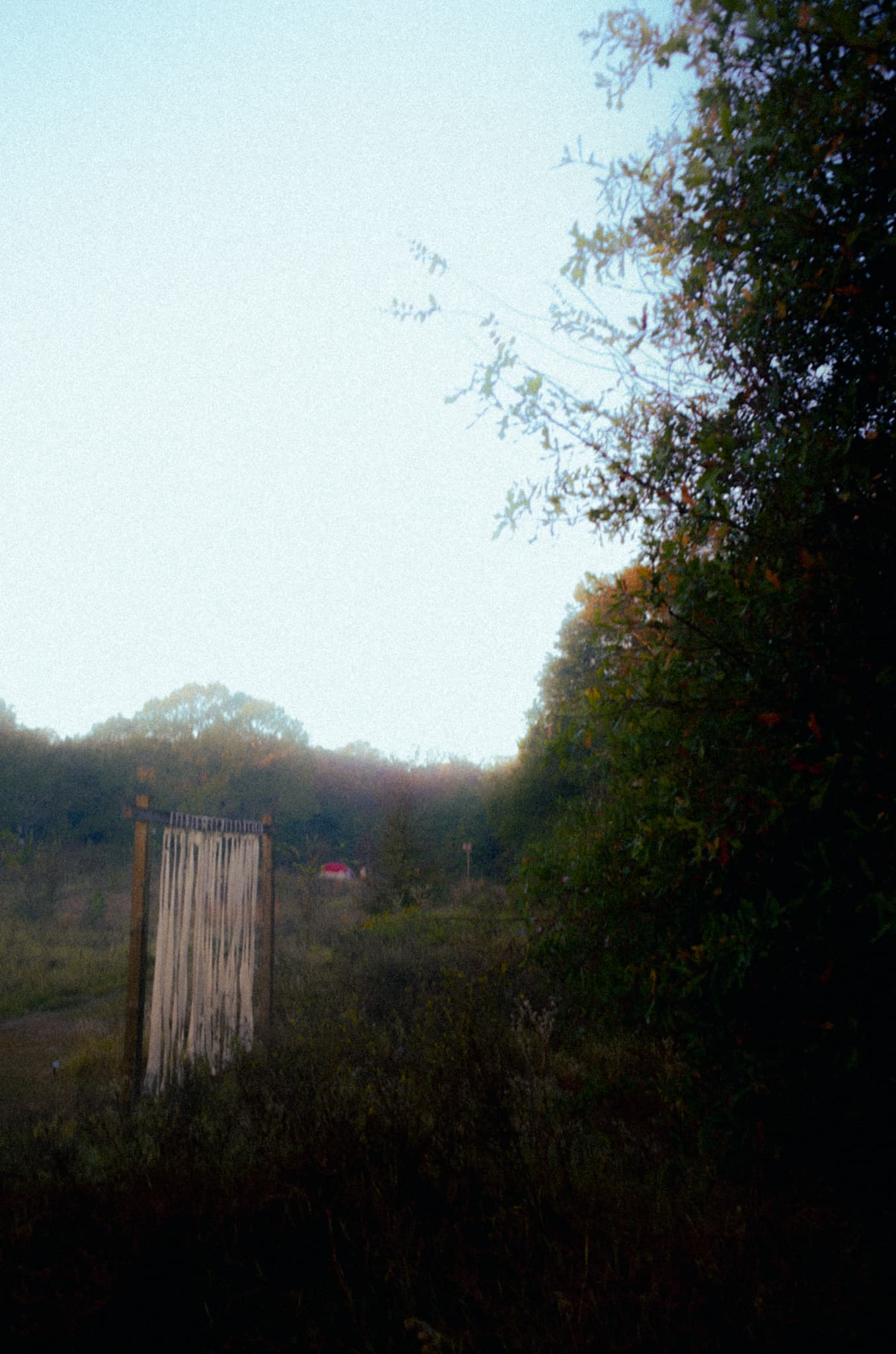 Woven fiber art strung between posts in a golden-hour field