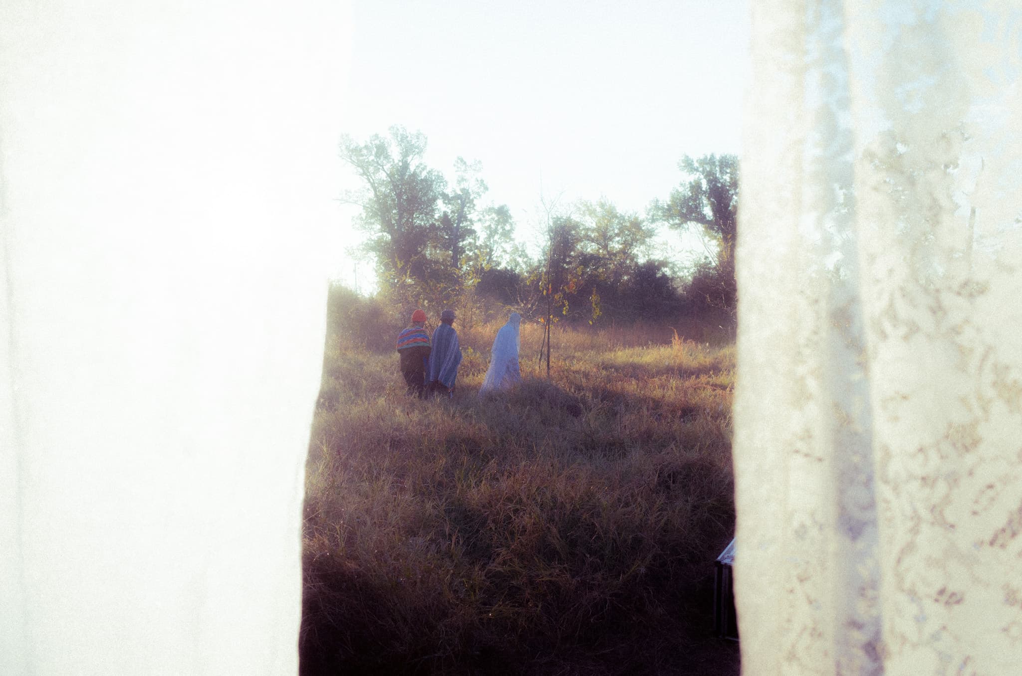 Friends walking through tall golden grass at sunset, glimpsed through a hanging curtain