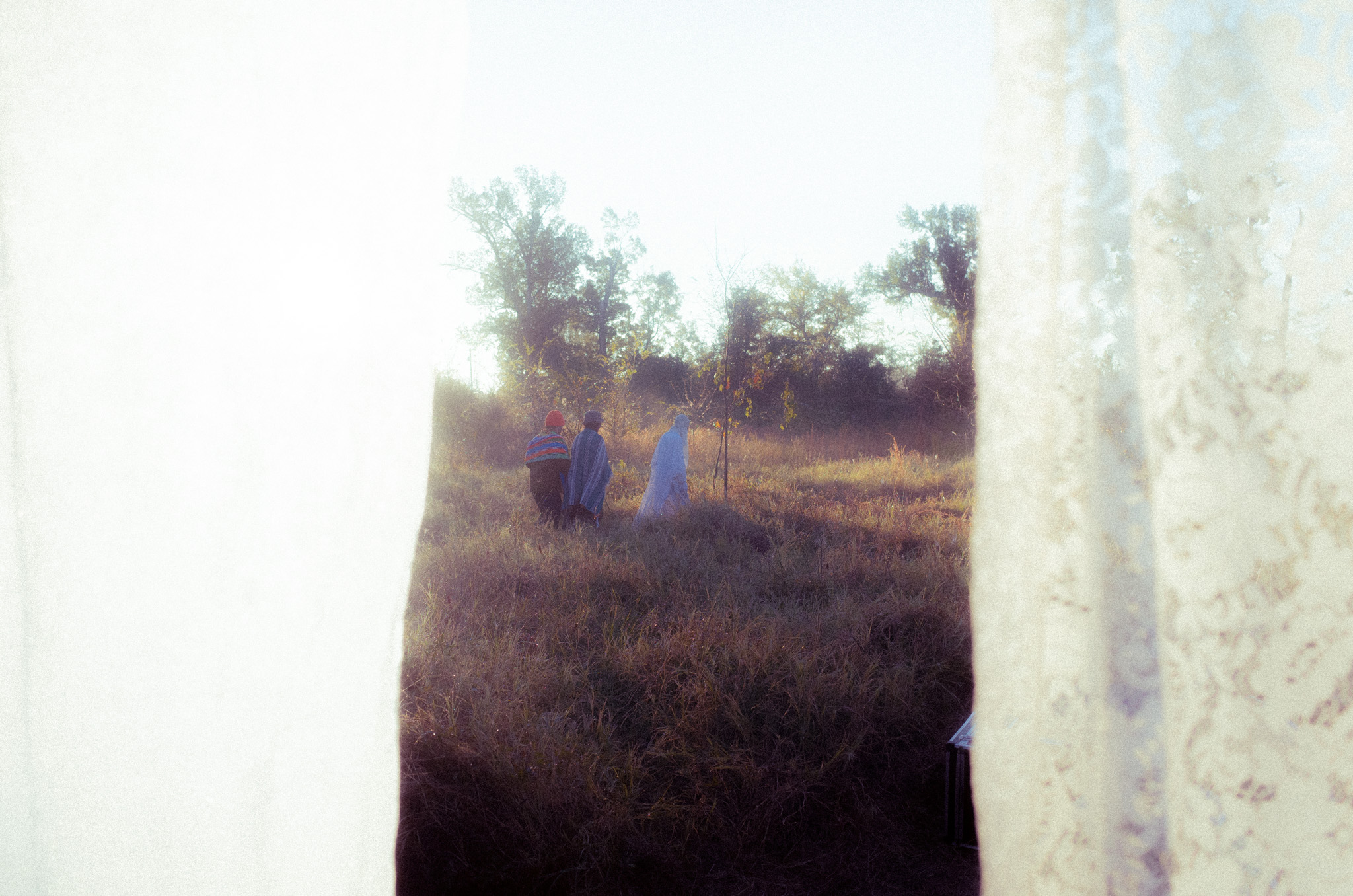 Friends walking through tall golden grass at sunset, glimpsed through a hanging curtain